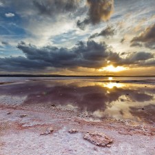 Salinas de Torrevieja