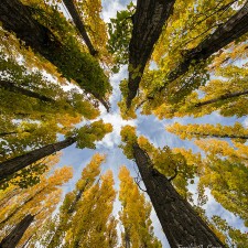 Buscando el cielo por Emilio