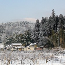 Matsukawa desde el coche