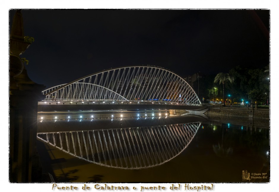 El puente de Calatrava o puente del hospital