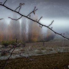 Niebla en Santiago.