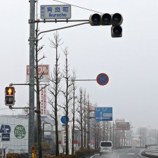 Ikuracho