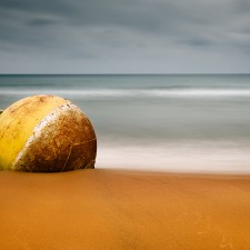 Baleriola, Calblanque, Costa, Mar, Murcia, 