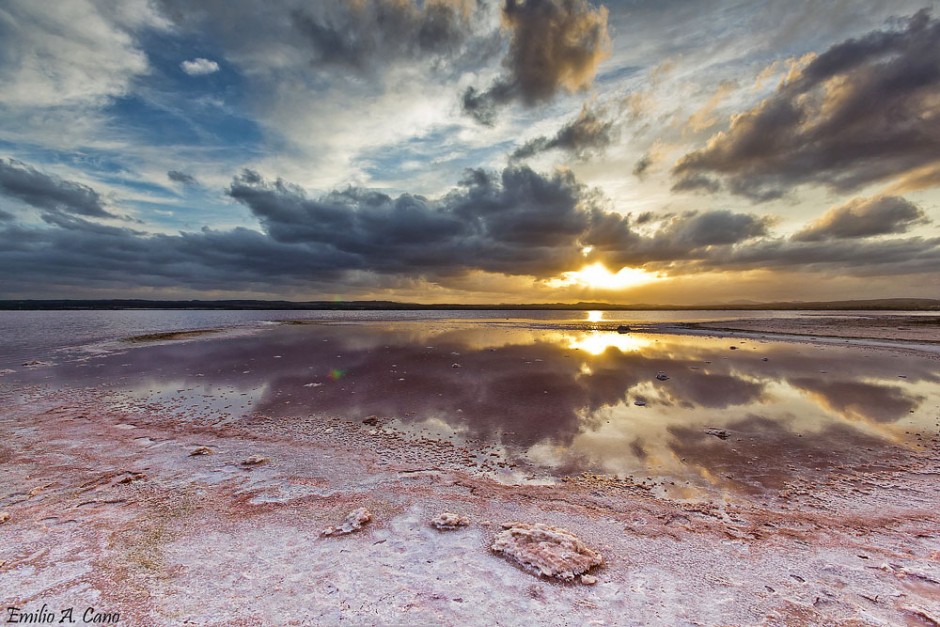 Salinas de Torrevieja