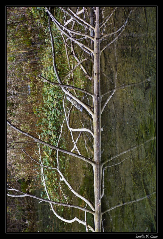 Reflejo I por Emilio