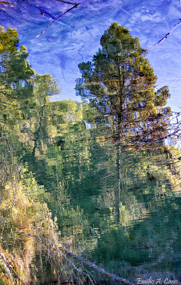 Reflejo II por Emilio