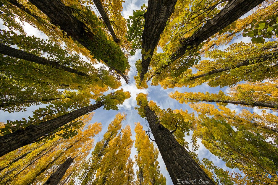 Buscando el cielo por Emilio