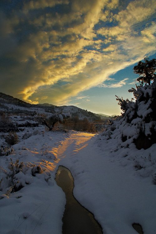 La luz del camino