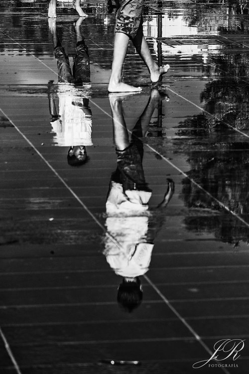 Reflejos de verano