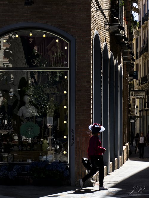 Luces y sombras I