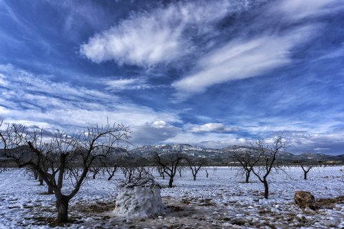 Paisaje nevado