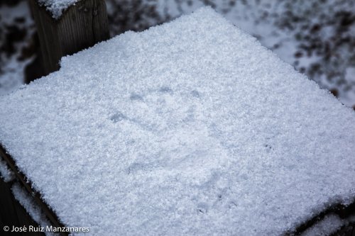 Invierno 02