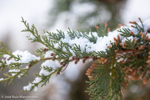 Invierno 03