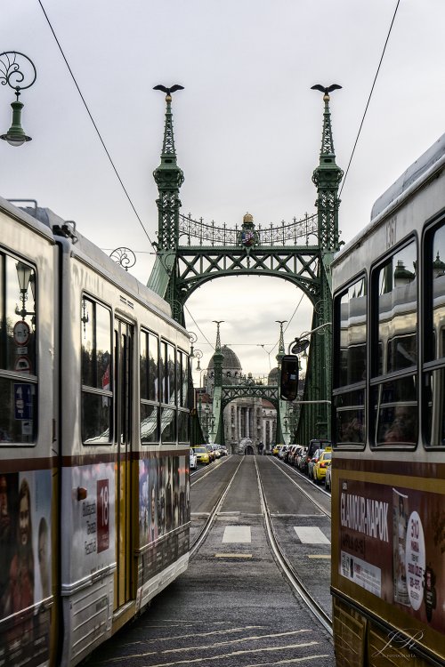 Puente de la Libertad de