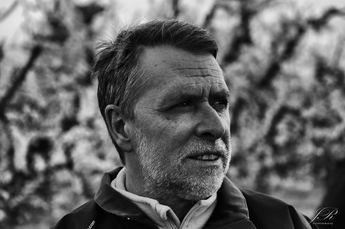 Sr. Presidente