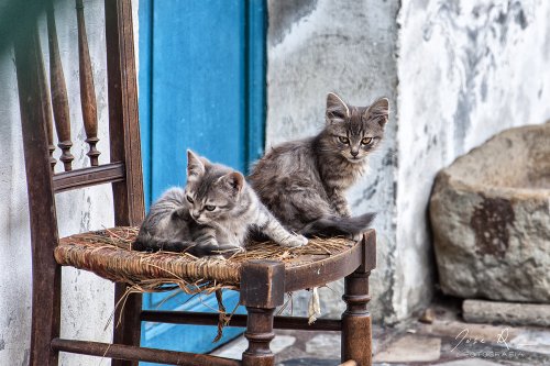 Los peques