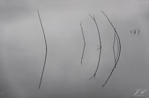 Reflejos 2