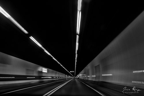 Monocromo
 