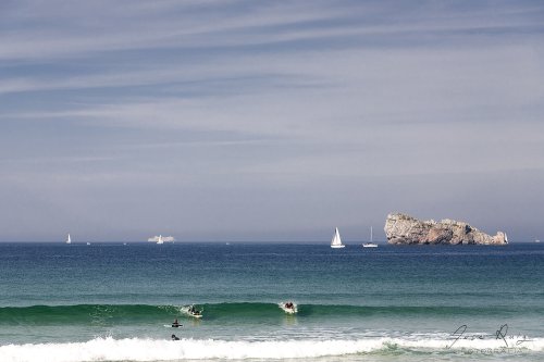 Surf