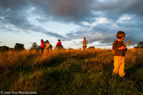 El atardecer de las chicas