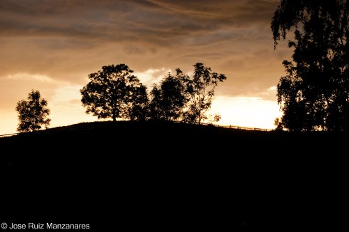 Atardecer polaco