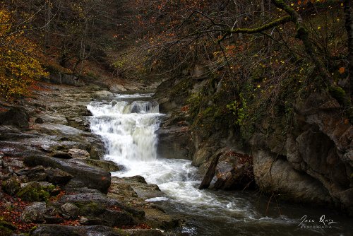 Otoño I