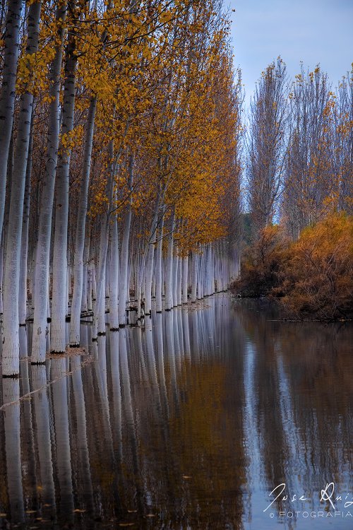 Otoño VII