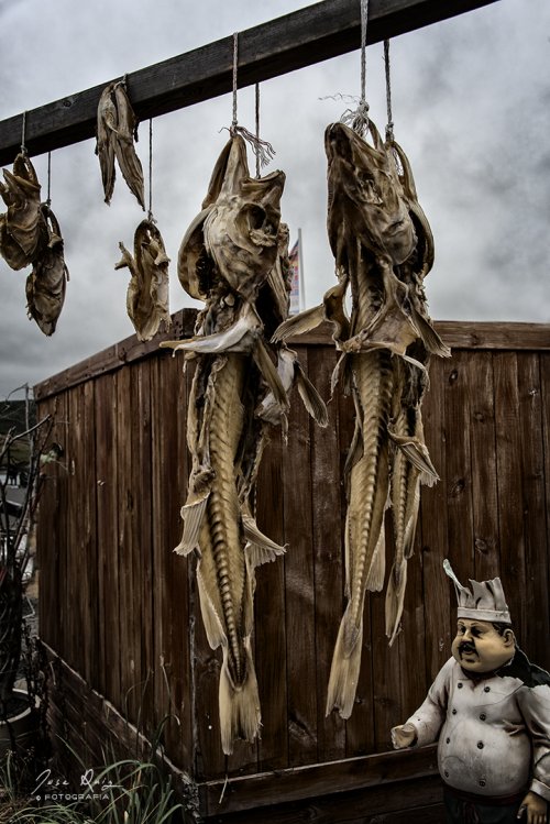 Bacalao islandés