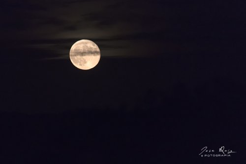 Luna 2