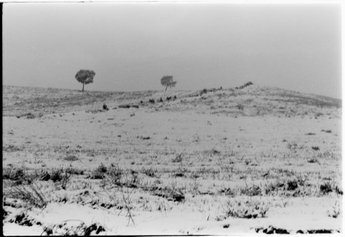 Nevada de los ochenta