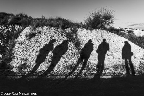 Sombras Amigas