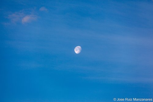 Luna de día