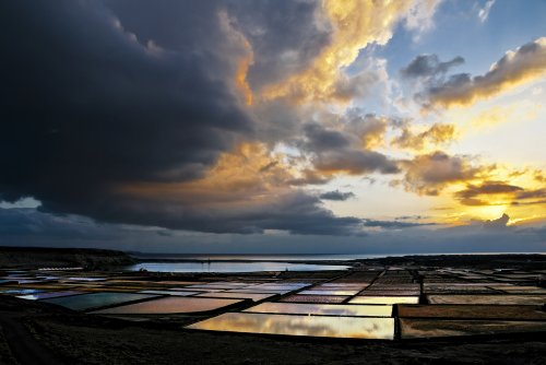 Salinas