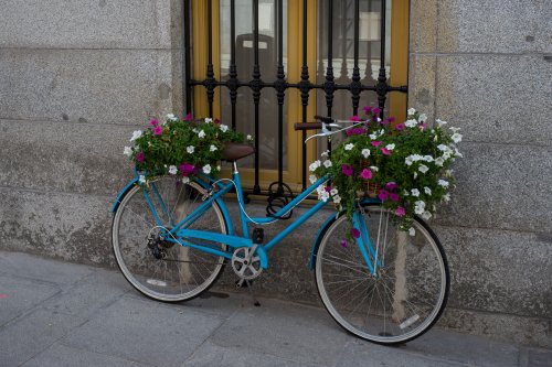 Bicicleta florida