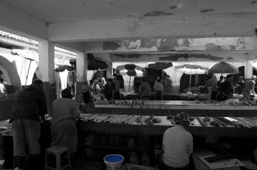 revelado, blanco y negro,