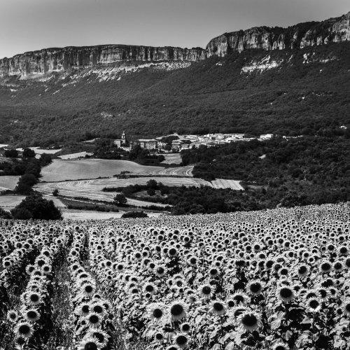 Noir et Blanc 1x1