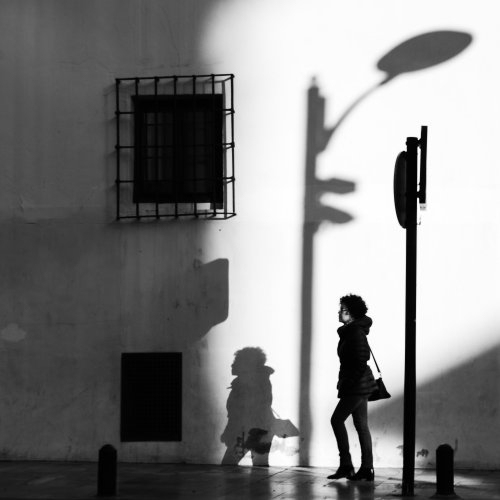 Calle 03