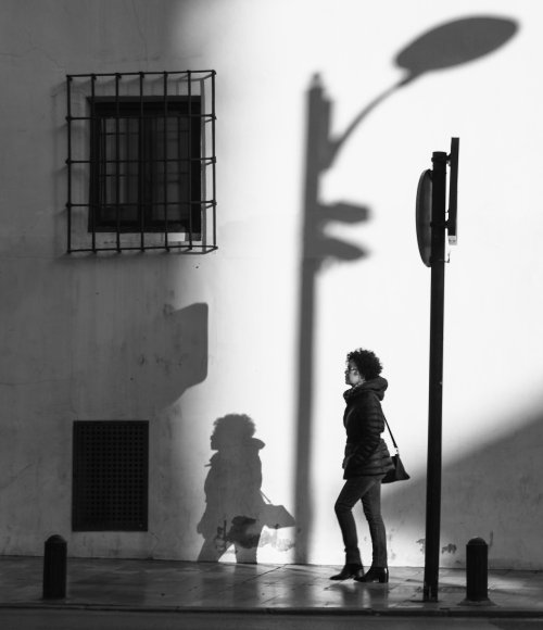 Versión 01