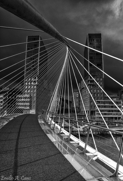 Revelado en blanco y negro