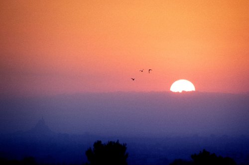 Amanecer con contraste