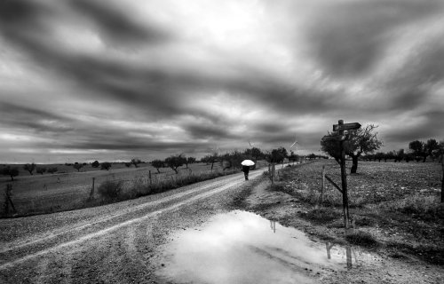 Caminante