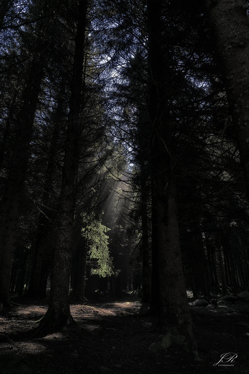 Un rayo de luz