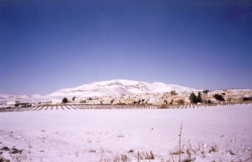 Aviles (Lorca) Nevado