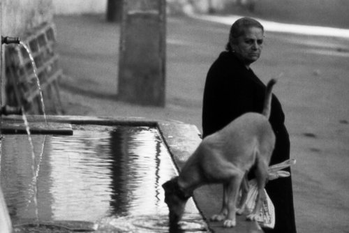 La Dama y el vagabundo
