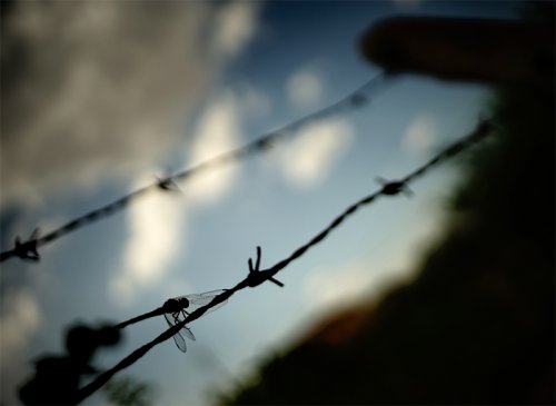 Fronteras