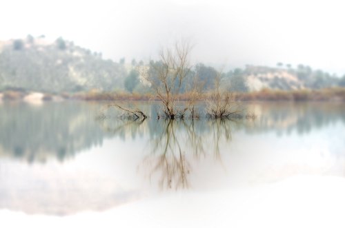Otoño..si si....otoño...