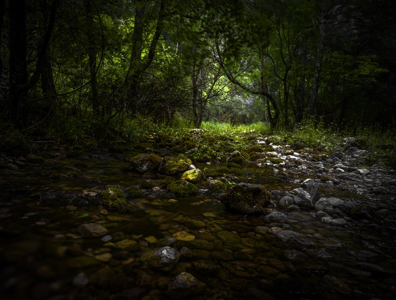 Los chorros