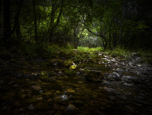 Los chorros