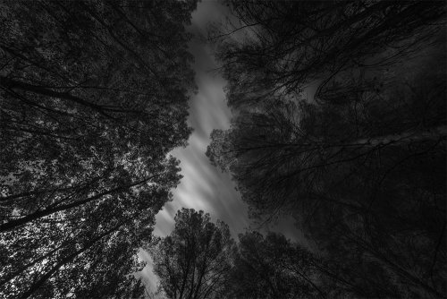 Cielo de Cenajo