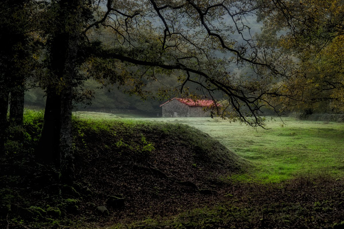 Bosque encantado